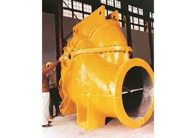 Pump Casting