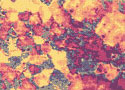Austenitic Manganese Steel Castings Hadfield Steel